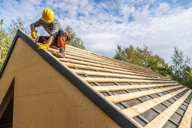 Best Roof Repair Services  in Columbus Af, MS