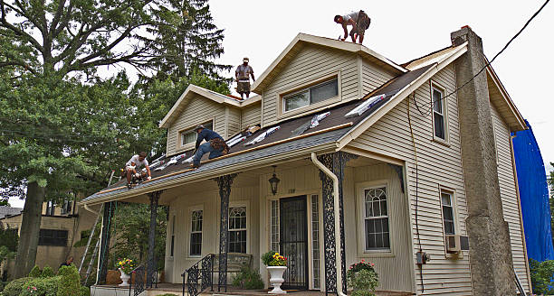 Best Roof Gutter Cleaning  in Columbus Af, MS